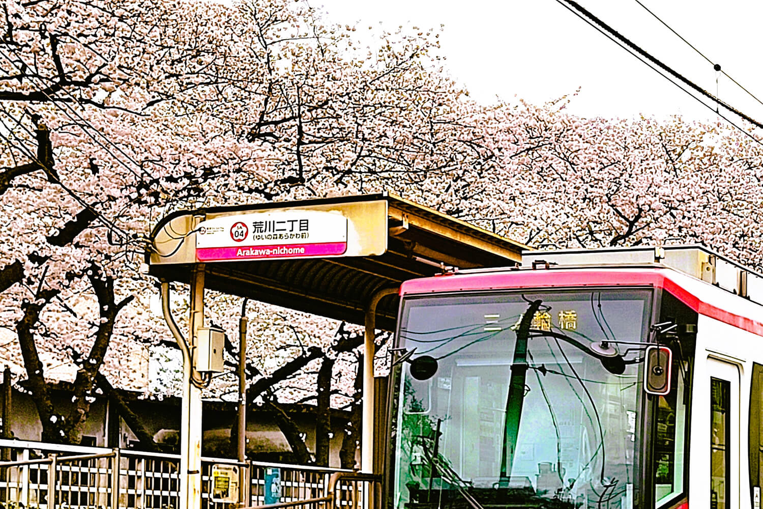 荒川二丁目の家事代行1