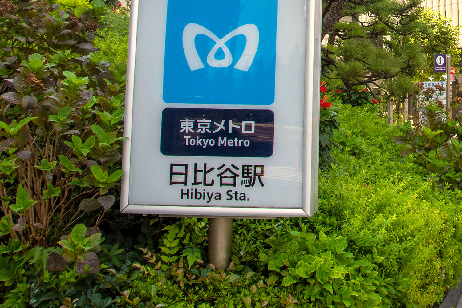 日比谷の家事代行1