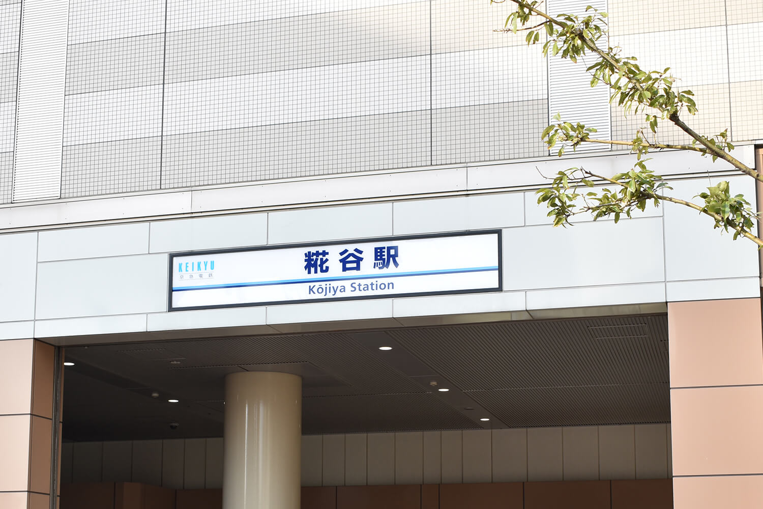 糀谷の家事代行1