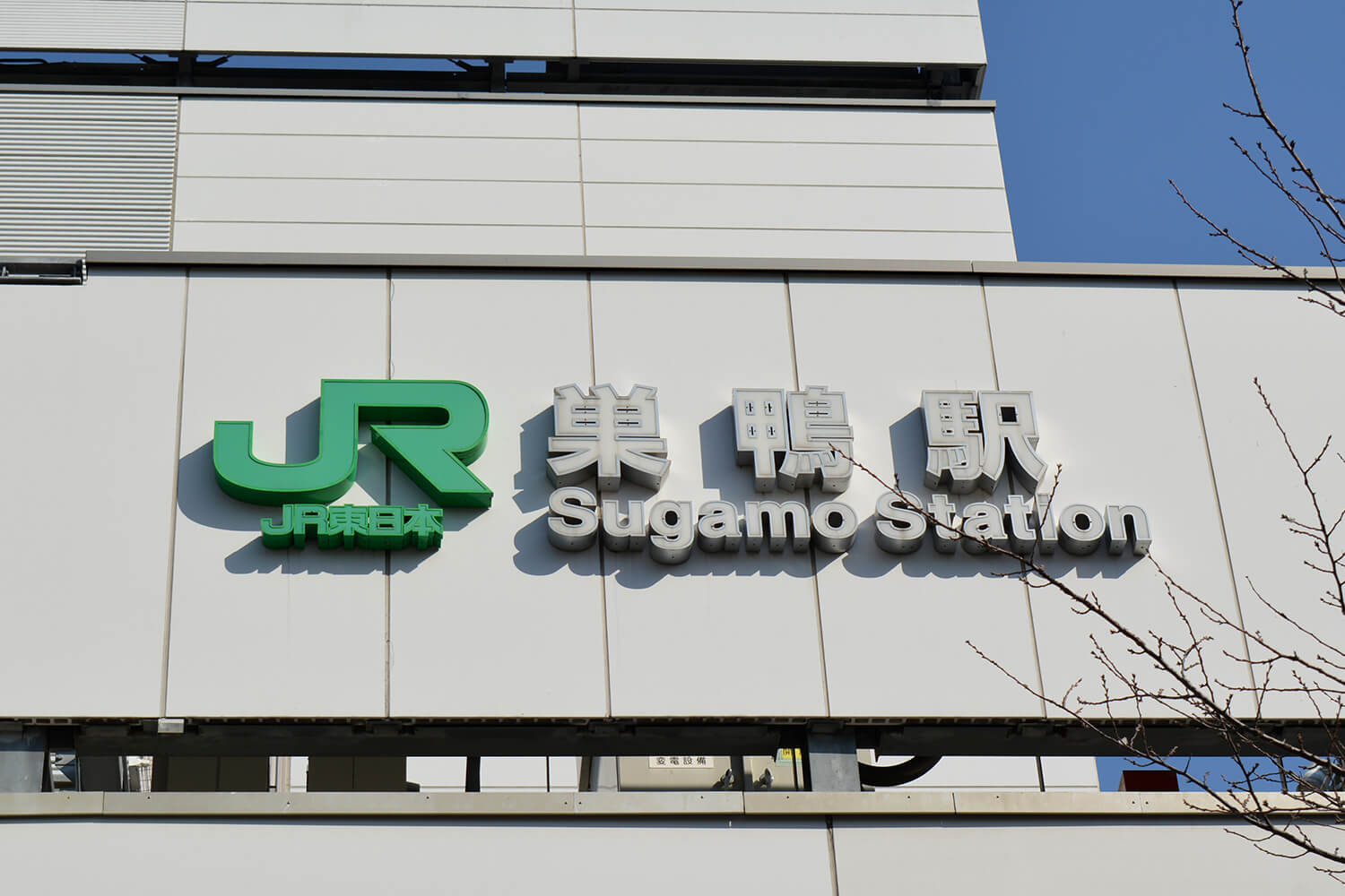 巣鴨の家事代行1